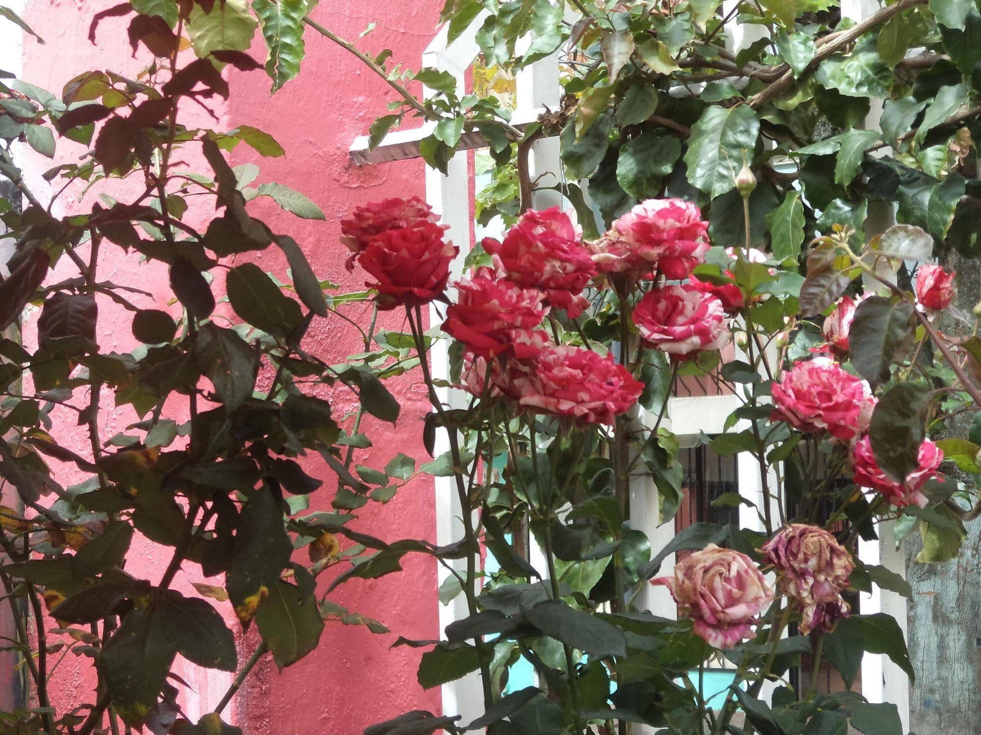Hostal Imperial Кито Екстериор снимка